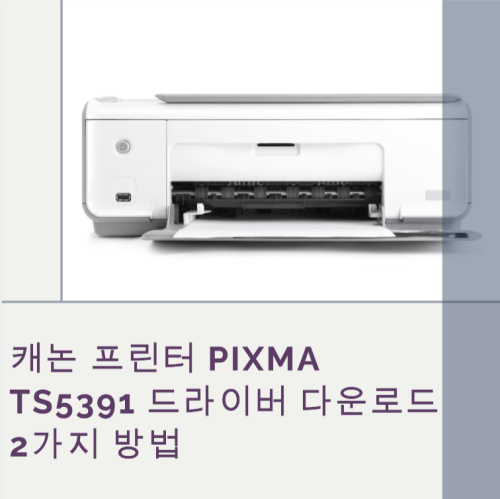 PIXMA TS5391