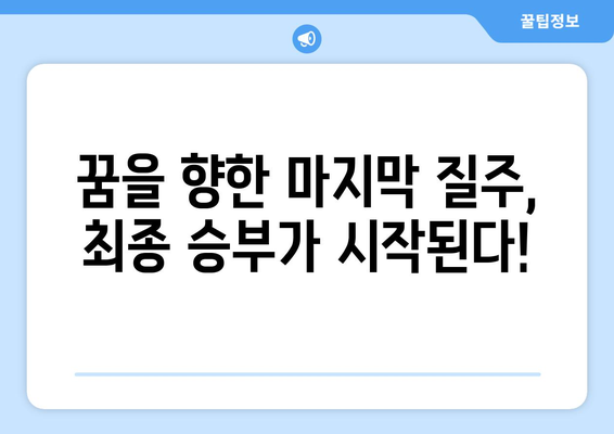 2024 파리 올림픽 러닝: 최종 본선 진출국 결정 경기