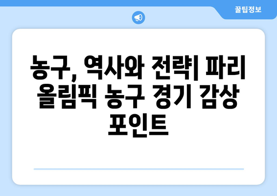 파리 올림픽 농구: 농구에 관한 관중들의 궁금증 해소