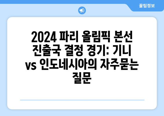 2024 파리 올림픽 본선 진출국 결정 경기: 기니 vs 인도네시아