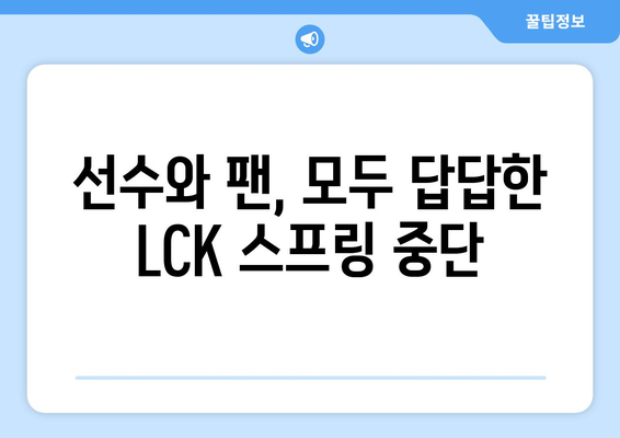 LCK 스프링 경기 중단 사태 원인