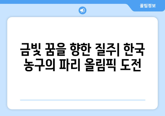 농구와 파리 올림픽: 역사와 진화