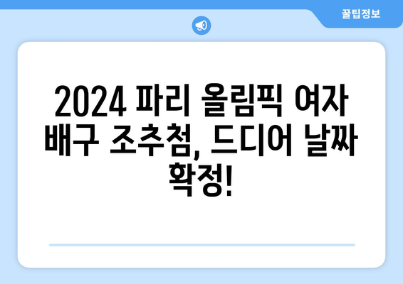 2024 파리 올림픽 여자 배구 조추첨 일 발표