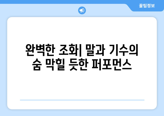 파리 올림픽 말장애물 금메달리스트: 프랑스 라이더의 정확성