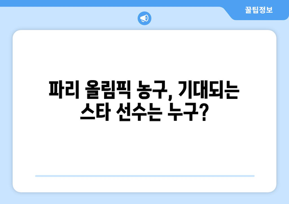 파리 올림픽 농구: 농구에 관한 관중들의 궁금증 해소