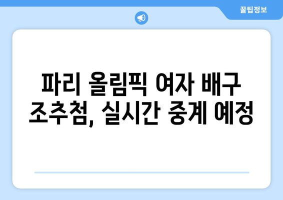 파리 올림픽 여자 배구 조추첨 일정 발표