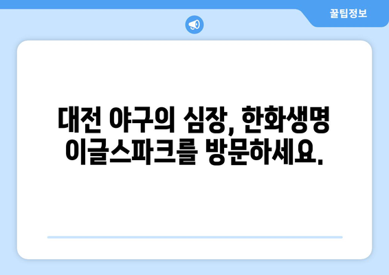 대전 야구 관람 명소: 한화생명 이글스파크 입장 및 경기 일정