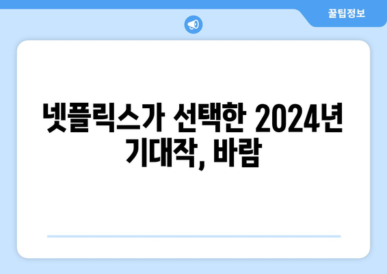 바람: 정우, 황정음, 양기원, 손호준 출연 2024년 넷플릭스 영화 예고편