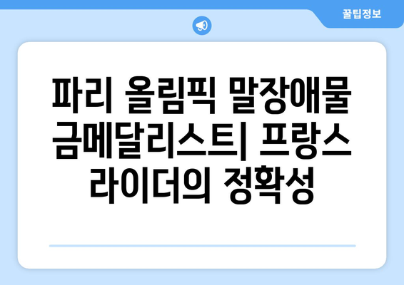 파리 올림픽 말장애물 금메달리스트: 프랑스 라이더의 정확성