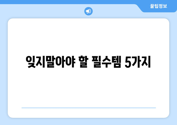 잊지말아야 할 필수템 5가지