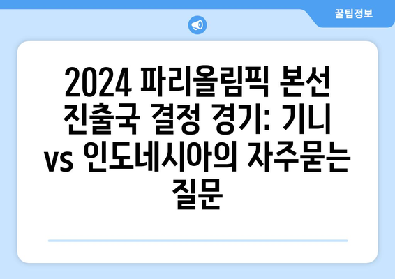 2024 파리올림픽 본선 진출국 결정 경기: 기니 vs 인도네시아