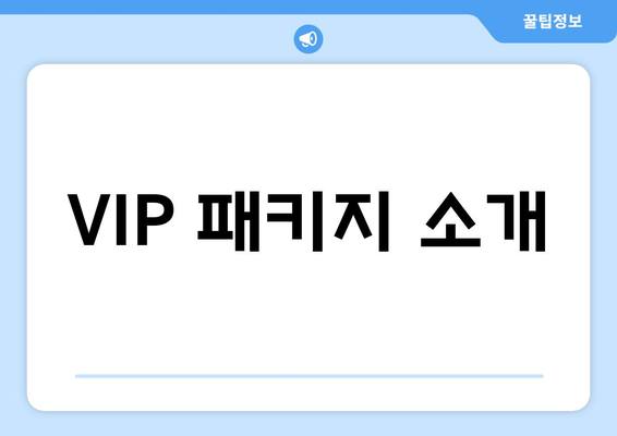 VIP 패키지 소개