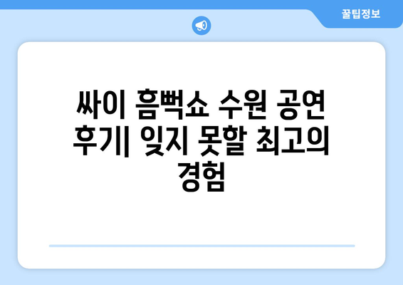 싸이 흠뻑쇼 수원 공연 후기와 준비물 가이드