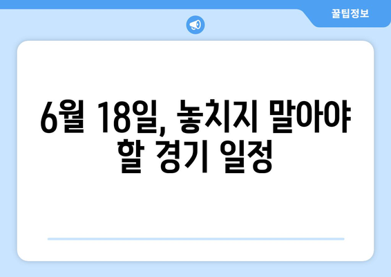 파리올림픽 전초전: 2024년 6월 18일 경기 일정 및 대진표