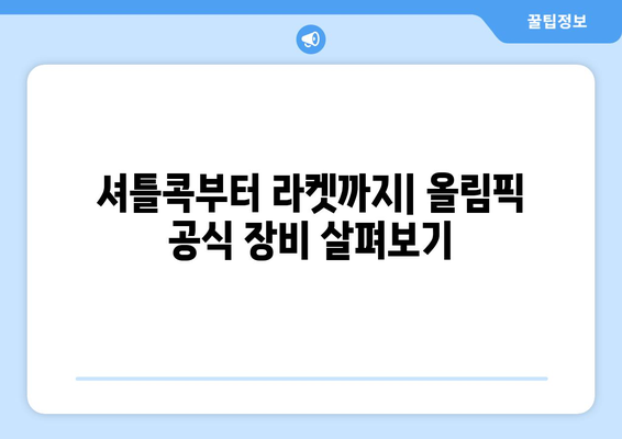 파리 올림픽 배드민턴: 배드민턴 장비 및 장비 검사