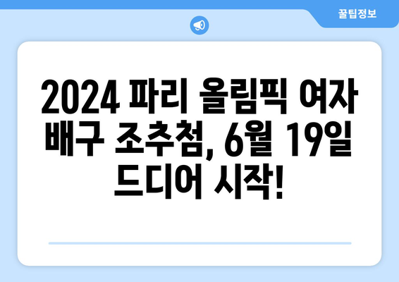 2024 파리 올림픽 여자 배구 조추첨 일 발표 (6월 19일 20시)