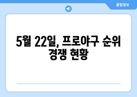 오늘의 한국 프로야구 순위 및 역대 최고 기록 (5월 22일)