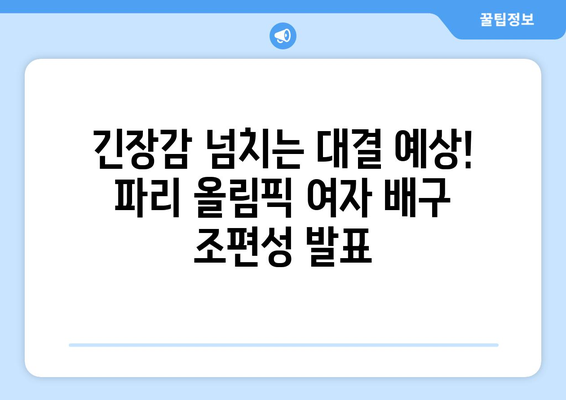 파리 올림픽 여자 배구 조추첨일 발표