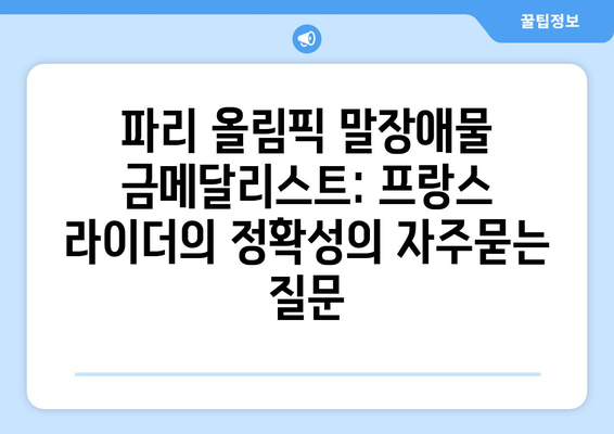 파리 올림픽 말장애물 금메달리스트: 프랑스 라이더의 정확성