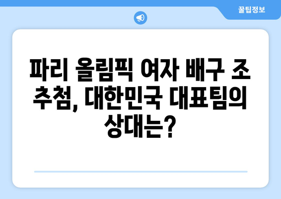 파리 올림픽 여자 배구 조추첨일 발표