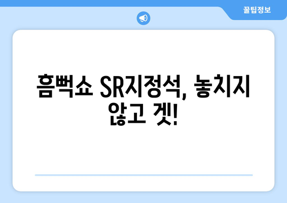 흠뻑쇼 티켓팅 성공 후기: SR지정석과 꿀팁 공개