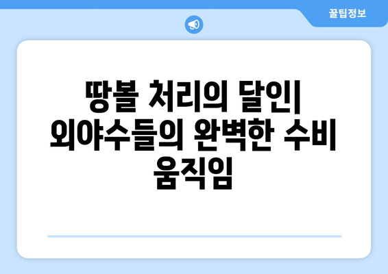 삼성 외야수의 수비 천재성: 그라운드 볼 처리에서부터 다이빙 캐치까지