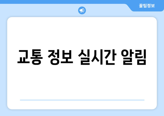 교통 정보 실시간 알림