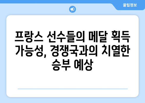 파리 올림픽 프랑스 메달 순위