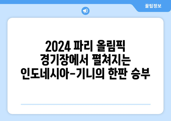 2024 파리올림픽 인도네시아 기니 경기 경기장