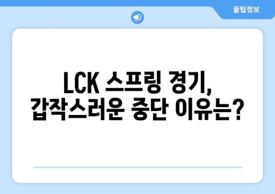 LCK 스프링 경기 중단 사태 원인