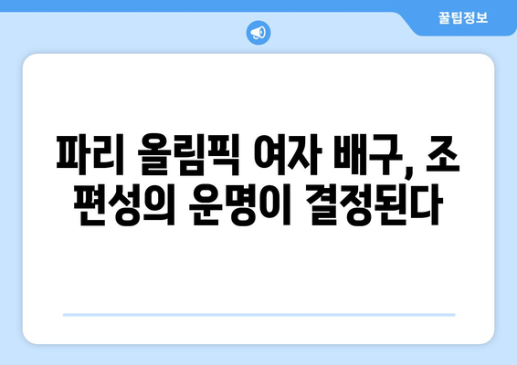 파리 올림픽 여자 배구 조추첨일 발표