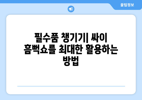 필수품 챙기기| 싸이 흠뻑쇼를 최대한 활용하는 방법