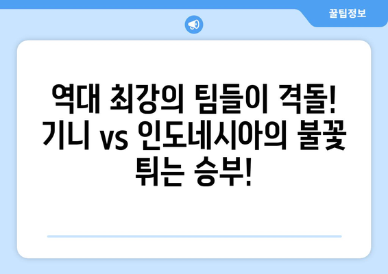 2024 파리 올림픽 본선 진출국 결정 경기: 기니 vs 인도네시아