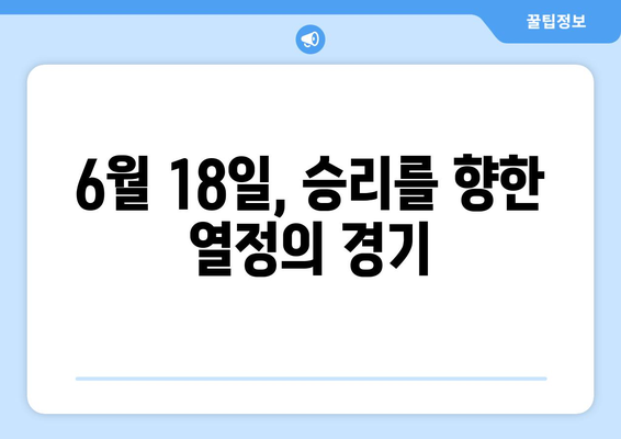 LG 기아 프로야구 중계, 순위, 기록: 2024년 6월 18일