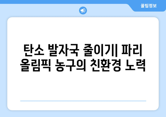 파리 올림픽 농구: 지속 가능성과 환경적 영향 논의