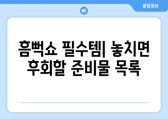 싸이 흠뻑쇼 2024: 준비물과 공연 후기