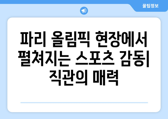 [2024 파리 올림픽] 2. 파리 올림픽 직관, 올림픽 배드민턴, 올림픽 양궁, 올림픽 골프, 경기장 좌석 지정