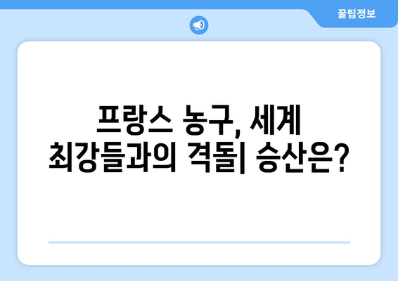 파리 올림픽 농구: 프랑스 팀에 대한 전망 분석