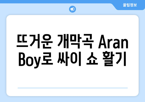 뜨거운 개막곡 Aran Boy로 싸이 쇼 활기