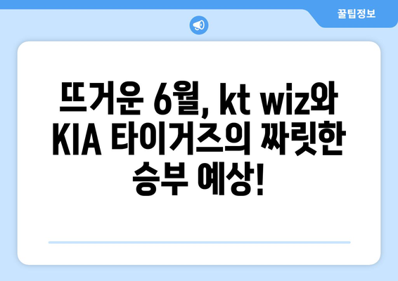 2024 한국프로야구 순위 현황: 06월 01일 kt wiz vs KIA 타이거즈