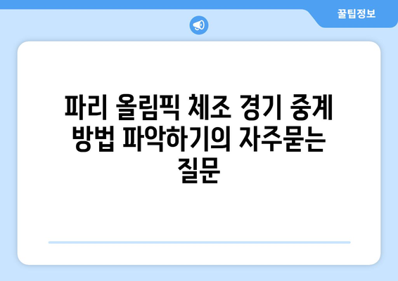 파리 올림픽 체조 경기 중계 방법 파악하기