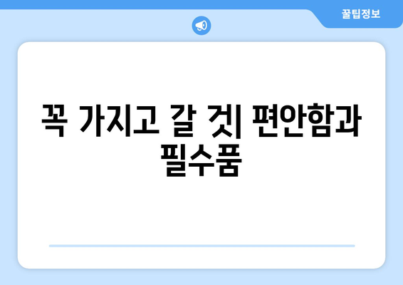 꼭 가지고 갈 것| 편안함과 필수품