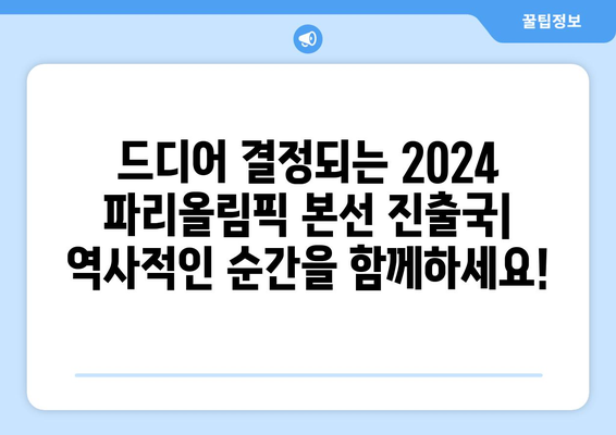 2024 파리올림픽 최종 본선진출국 결정 경기장