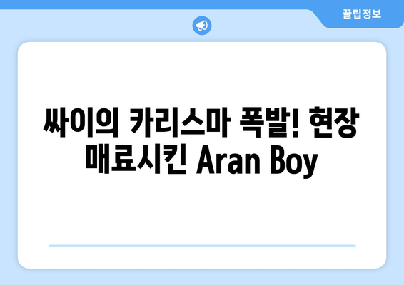 싸이의 카리스마 폭발! 현장 매료시킨 Aran Boy