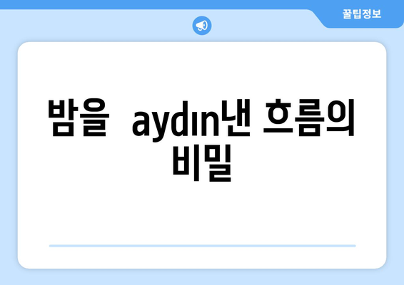 밤을  aydın낸 흐름의 비밀