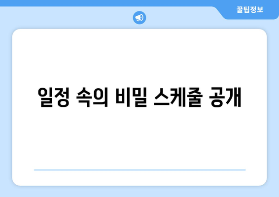 일정 속의 비밀 스케줄 공개