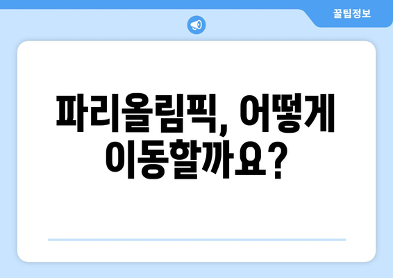 파리올림픽 교통 티켓