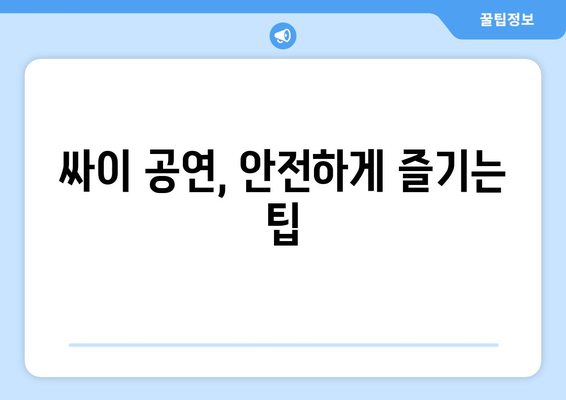 싸이 공연, 안전하게 즐기는 팁