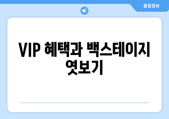 VIP 혜택과 백스테이지 엿보기