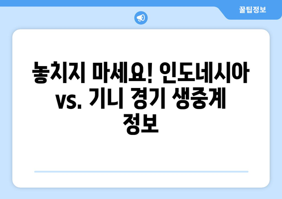 파리 올림픽 본선진출국: 인도네시아 vs. 기니 경기 시청 방법